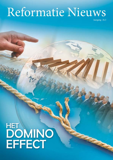 Omslag Het Domino Effect